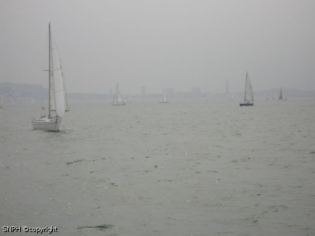 Photo 039