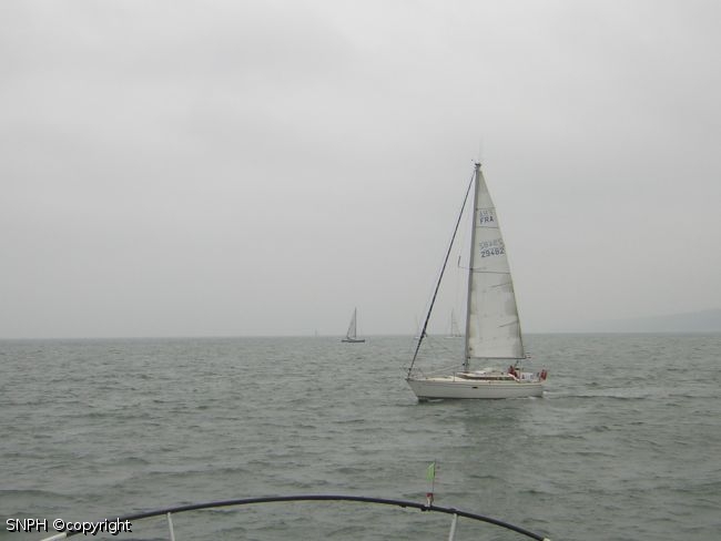 Photo 051