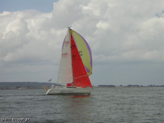 Photo 431