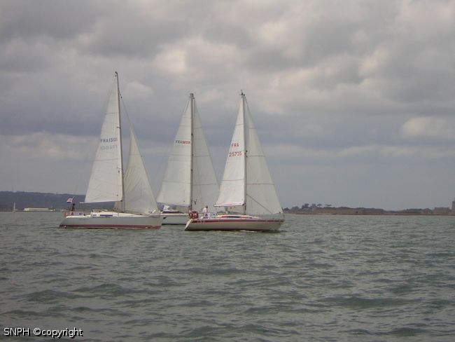 Photo 449