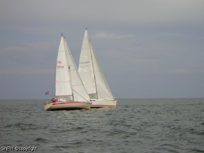 Photo 451