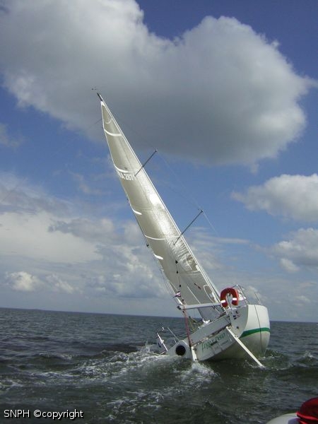 Photo 454