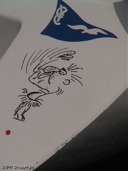 DSC00008
