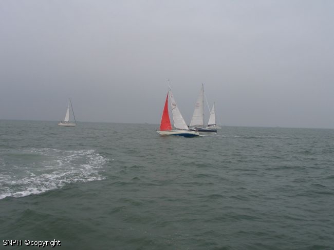 Photo 005