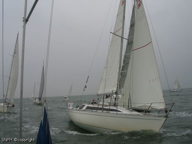 Photo 006