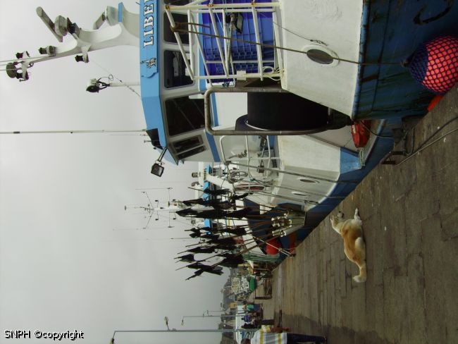 PICT0135