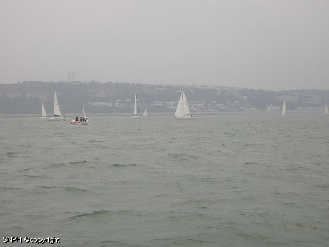 Img0290