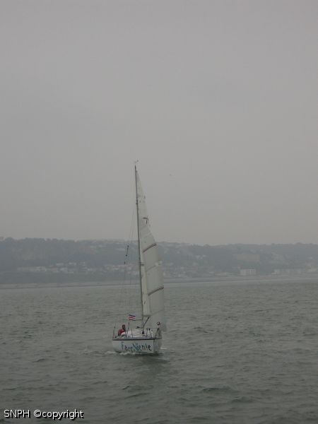 Img0309