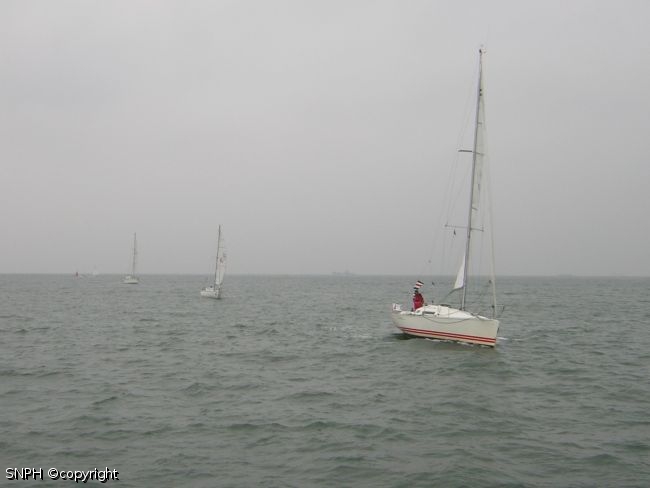 Img0311