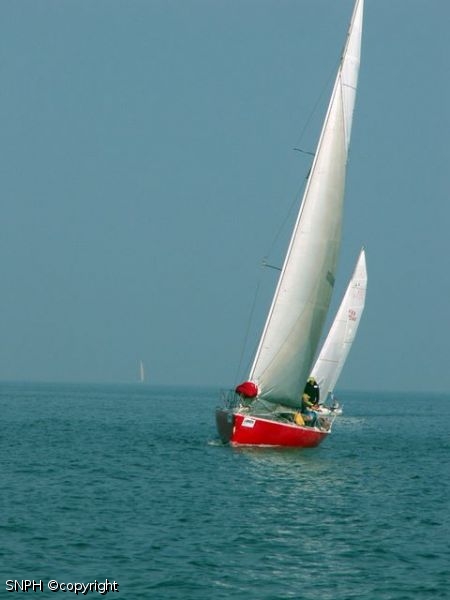 141