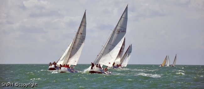 DSC 0026