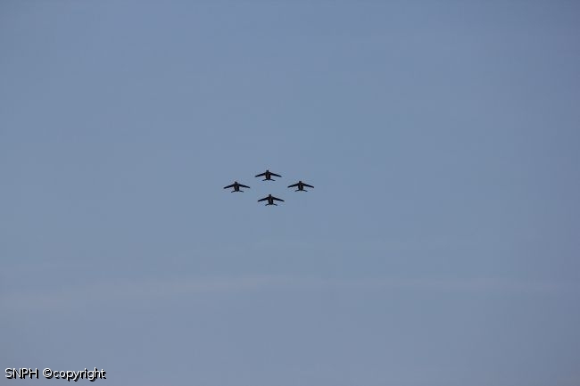 IMG 7964