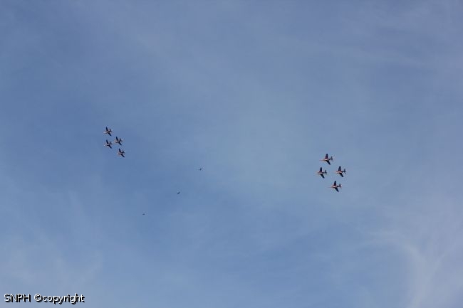 IMG 7967