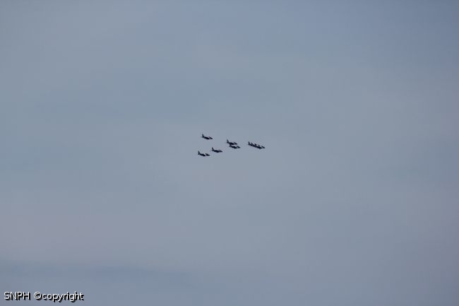 IMG 7971