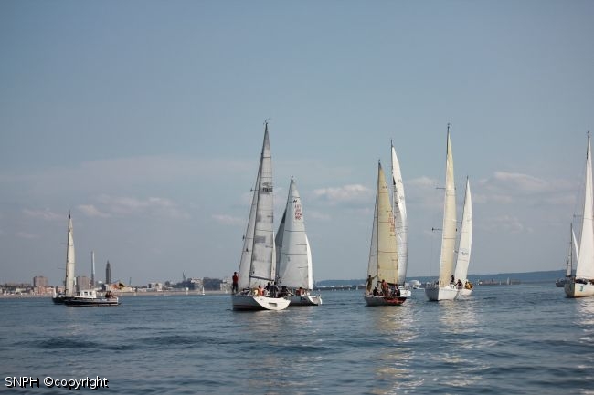IMG 7917