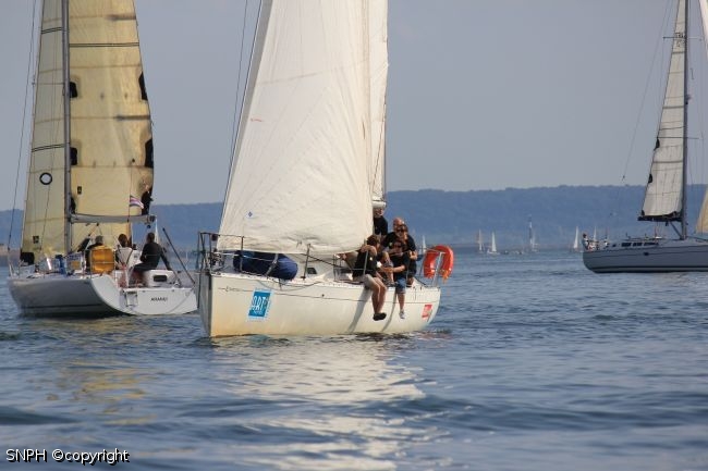 IMG 7919