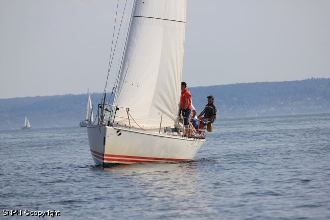 IMG 7935