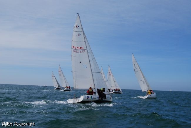 DSC 0219